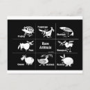 Search for sows postcards Animals