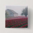 Search for greetings square badges Red