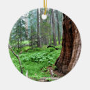 Search for sequoia national park christmas tree decorations Forest