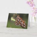 Search for fritillary cards Orange