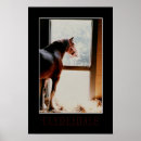 Search for majestic horse posters Equestrian