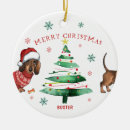 Search for dachshund christmas decor Winter
