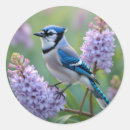Search for blue jay stickers Purple