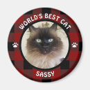 Search for cat breed magnets Cute