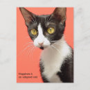 Search for adopt vertical postcards Cat