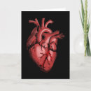 Search for anatomical heart cards Anatomy