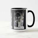 Search for wolf conservation mugs Wolves