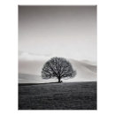 Search for black and white landscape posters Monochrome