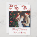 Search for candy christmas cards Botanical