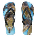 Search for bug shoes Humour