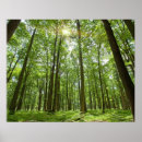 Search for behind posters Horizontal