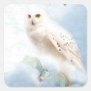 Search for bird of prey stickers Nature
