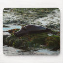 Search for lit mouse mats Sunset