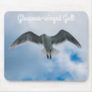 Search for gull mouse mats Bird