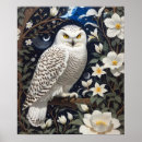 Search for moonflower art Moonlight