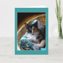 Search for cat basket cards Green