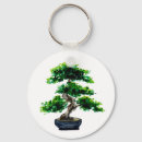 Search for bonsai accessories Meditation
