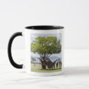Search for wild giraffe mugs Wildlife