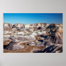 Search for petrified posters Desert