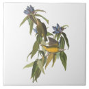 Search for audubon tiles Vintage