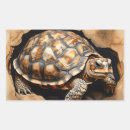 Search for spurs stickers African spurred tortoise