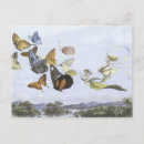 Search for sprite postcards Faerie