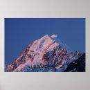 Search for cook posters Orange