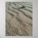 Search for windswept posters Beach