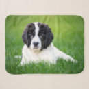 Search for newfoundland blankets Puppy