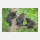 Search for black bear tea towels Cute baby animal