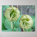 Search for horticultural posters Unique