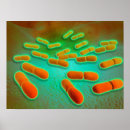 Search for biochemistry posters Protein