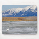 Search for migratory Travel