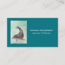 Search for dolphin business cards Ocean