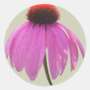 Search for echinacea stickers Purple