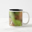 Search for buckeye mugs Nature