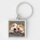Search for sleepy the key rings Pet