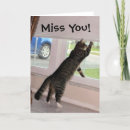 Search for pet rescue cards Cat