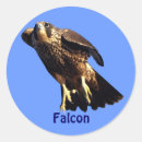 Search for falcons stickers Wildlife