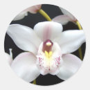 Search for beautiful orchid stickers Flower