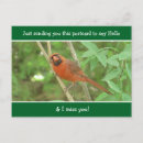 Search for cardinal quotes Nature