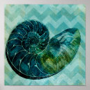 Search for conch posters Ocean