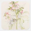 Search for hellebore stickers Flower