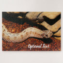 Search for venomous puzzles Animal