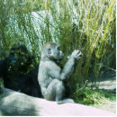 Search for sculpture photosculptures Cute