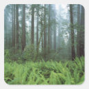 Search for world tree stickers Green