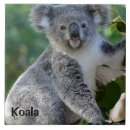 Search for cuddly tiles Cute