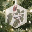 Search for magnolia christmas tree decorations Garden