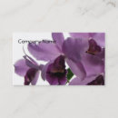 Search for orchids business cards Purple
