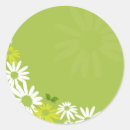 Search for camomile stickers Floral